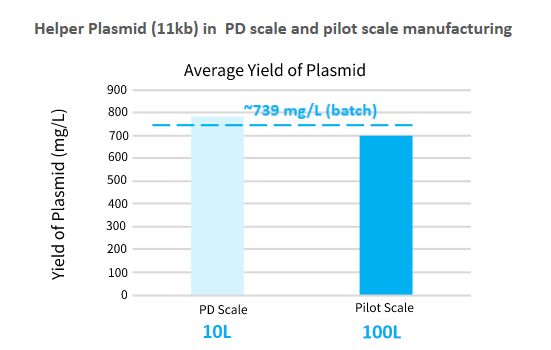 Yield of plasmid maintains in the same range
