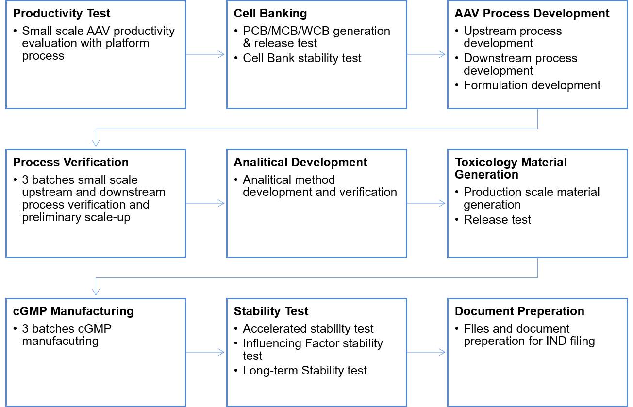 AAV Manufacturing Workflow