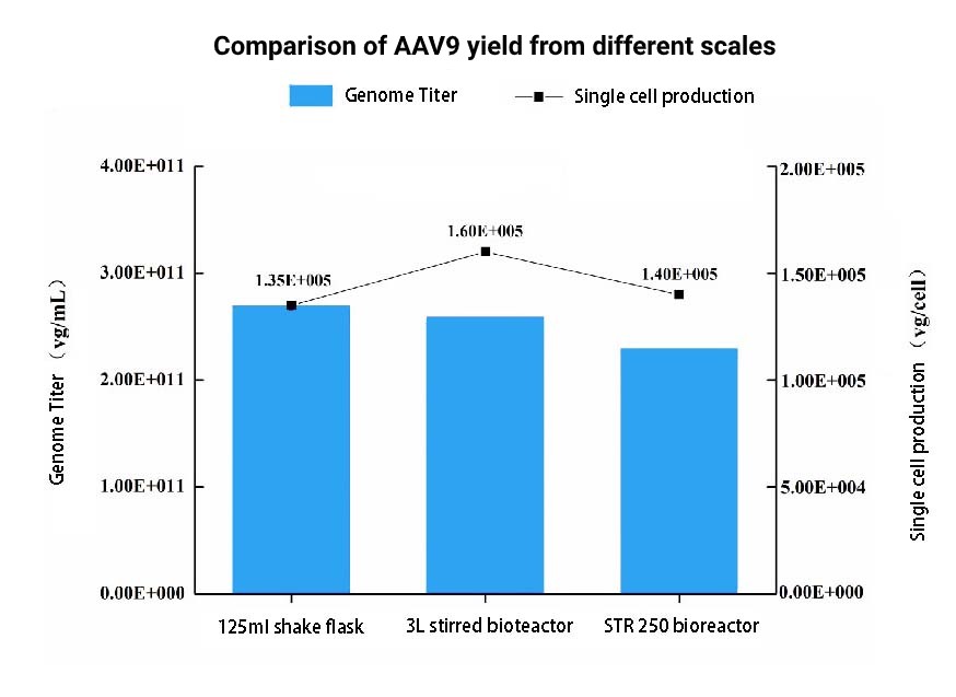 Comparison of AAV9 yield from different scales