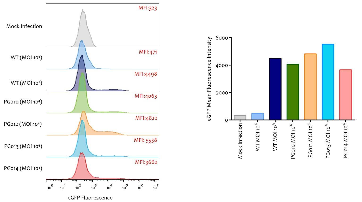 Infection of Quiescent Primary Human T Cells with Novel PackGene AAV6 Serotypes(1)