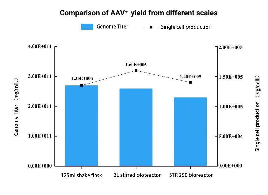 Comparison-of-AAV9-yield-from-different-scales
