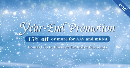 Year-end Promotion-end