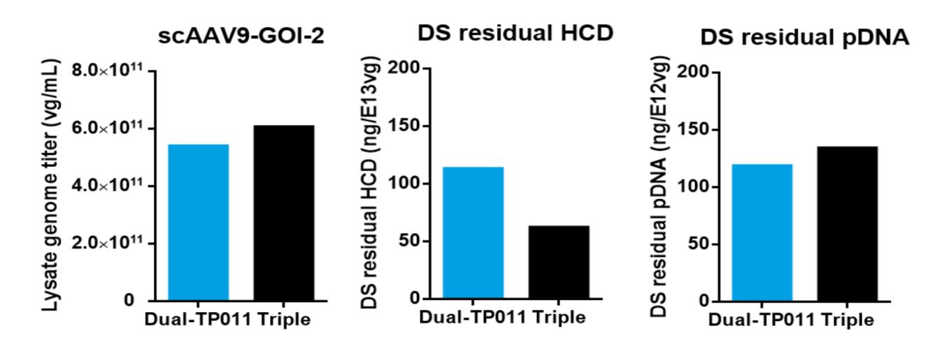 Figure 10. Application of dual system in a gene therapy case based on scAAV9.