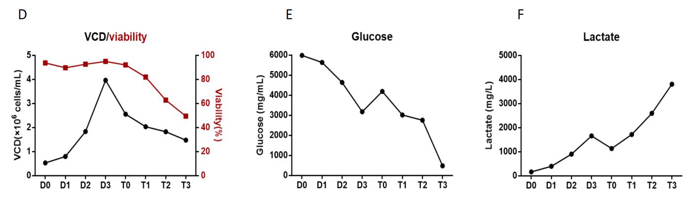 Figure 3. PCS3.0 cell line in a ssAAV9 gene therapy project 2