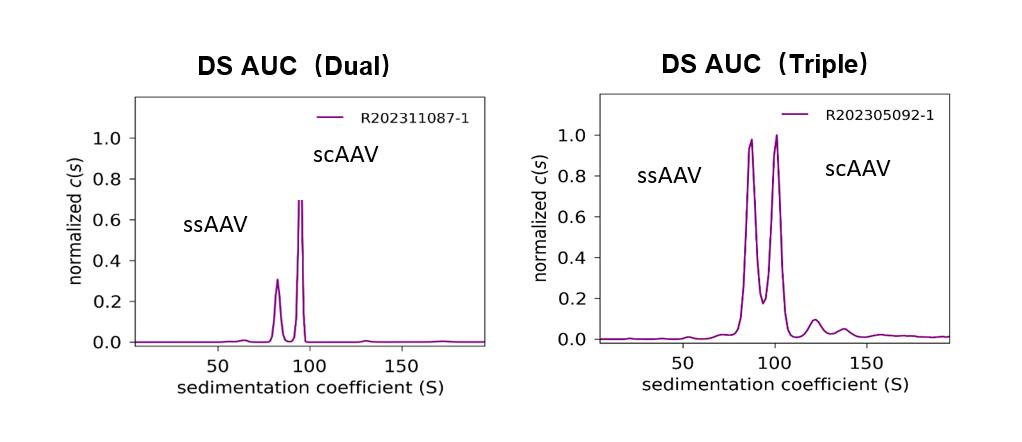 Figure 9. Application of dual system in a gene therapy case based on scAAV9 1