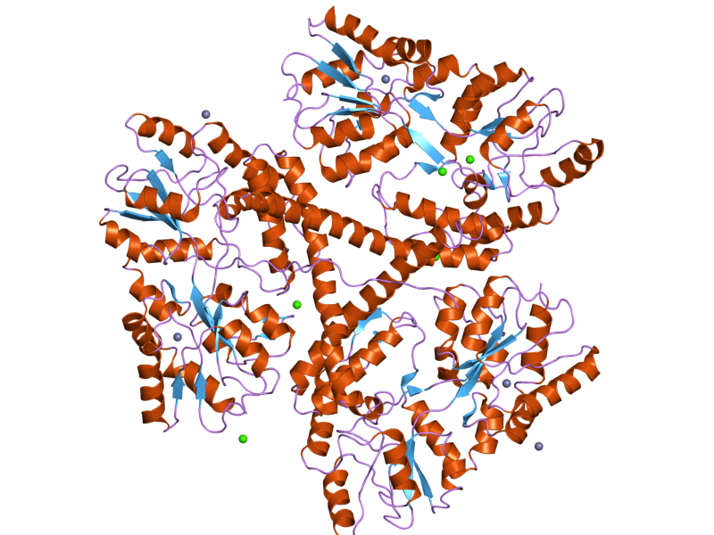 Crystallographic structure of the N-terminal region of the human Huntingtin protein with an artificially attached Maltose-Binding protein used for crystallographic purposes