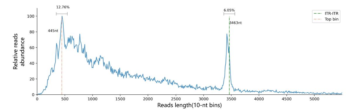 AAV Genome Sequencing by Nanopore