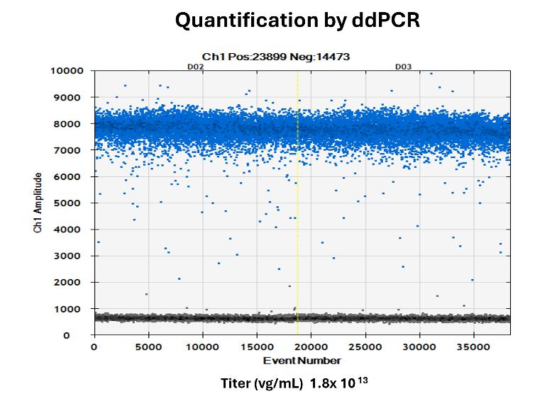 Quantification by ddPCR