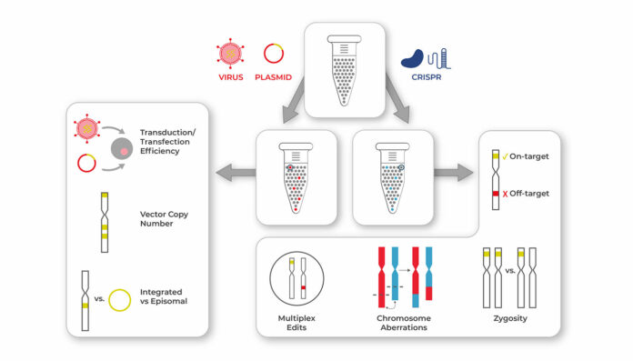 ThoughtLeader_MissionBio_MeasuringGeneTransferAndEditing-696x397