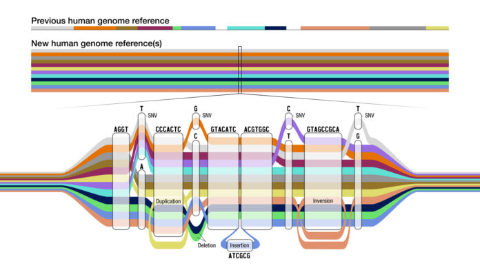 Instead of the genome as a linear map