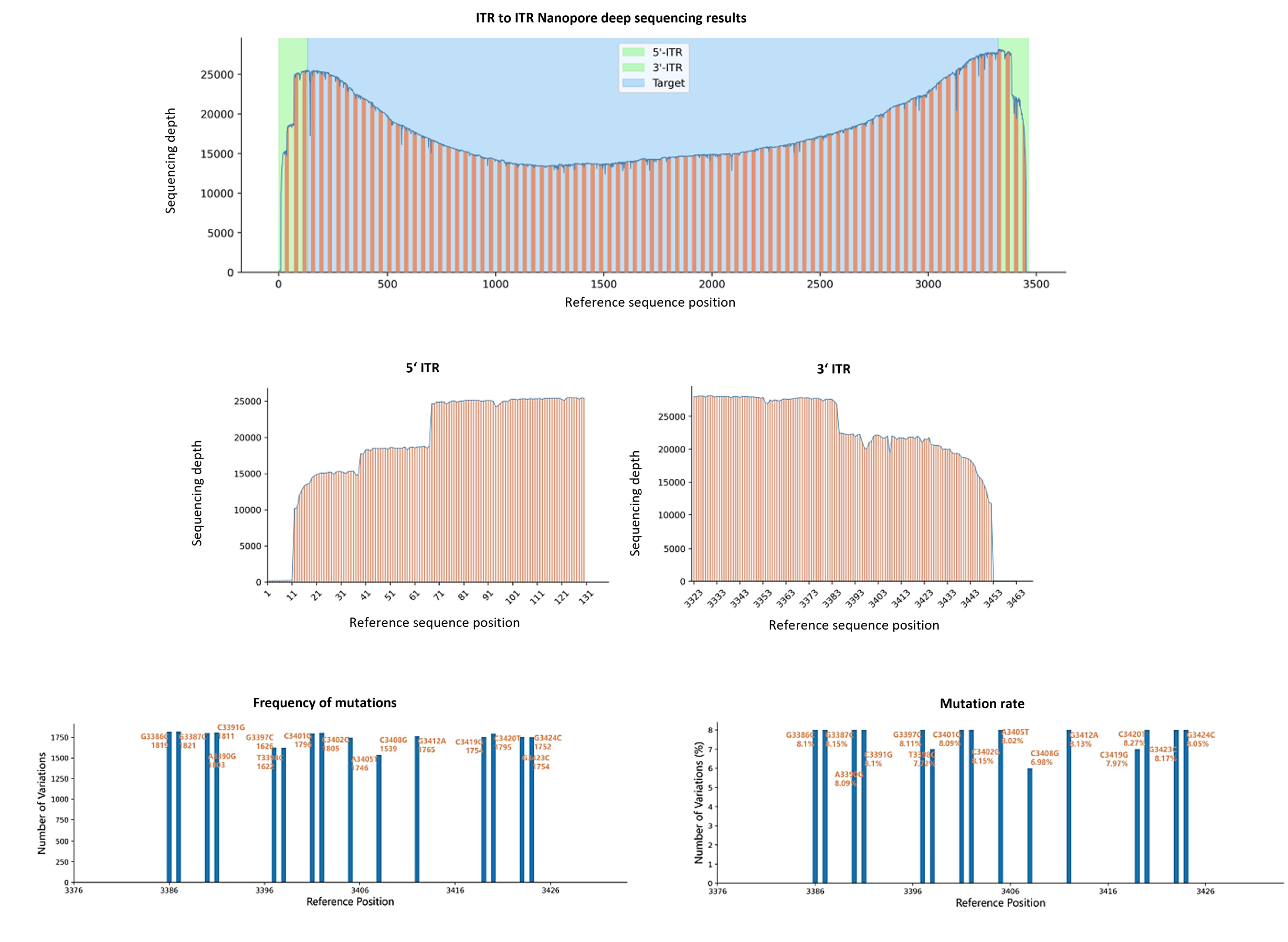 Nanopore report