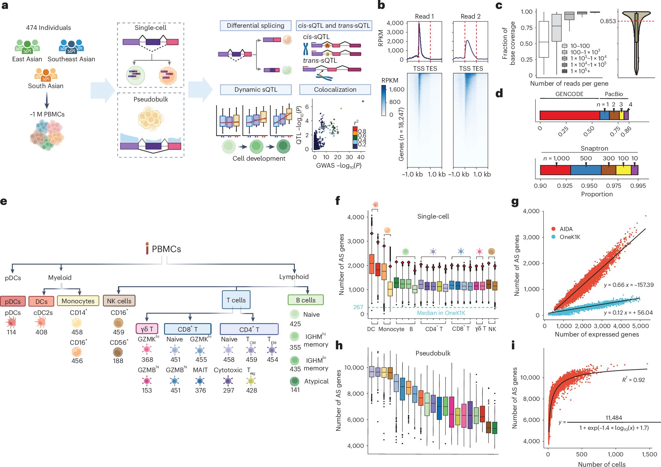 researchers-discover-c-9